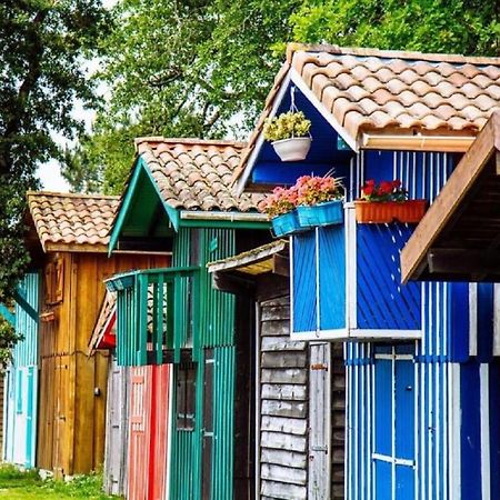 Au Coeur Du Bassin D'Arcachon,Tres Bel Appartement Avec Terrasse Однж Екстер'єр фото