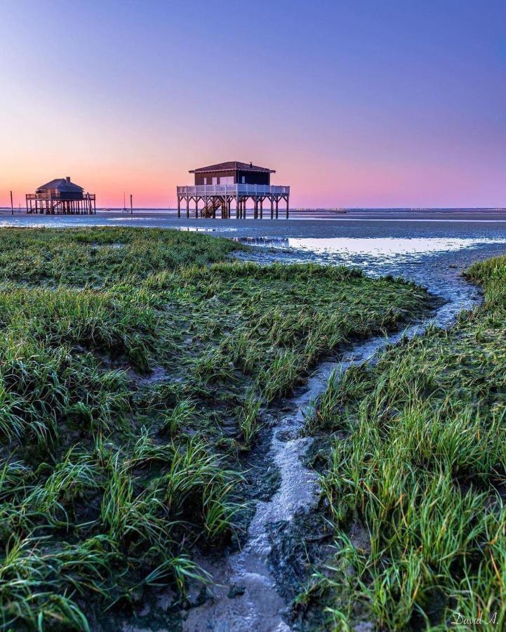 Au Coeur Du Bassin D'Arcachon,Tres Bel Appartement Avec Terrasse Однж Екстер'єр фото