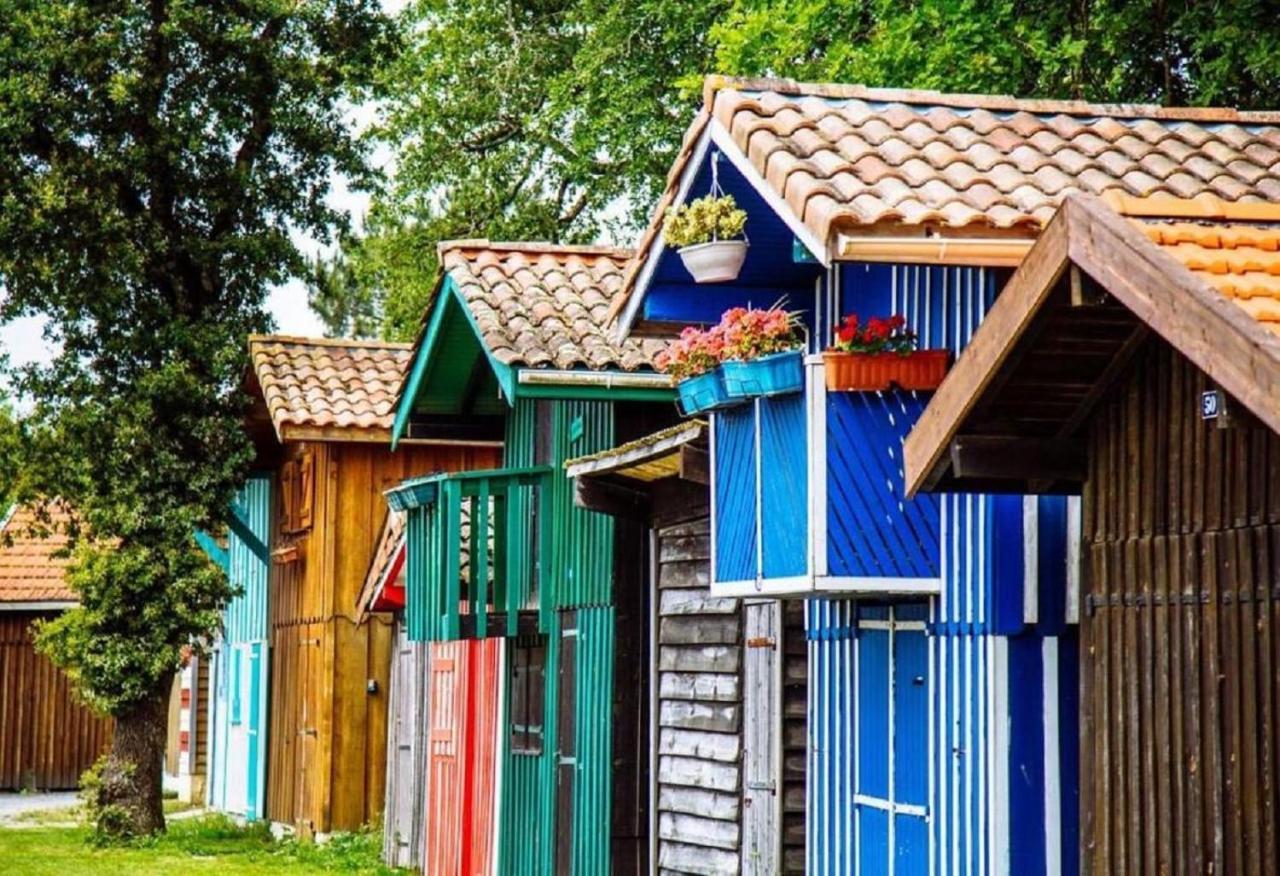 Au Coeur Du Bassin D'Arcachon,Tres Bel Appartement Avec Terrasse Однж Екстер'єр фото