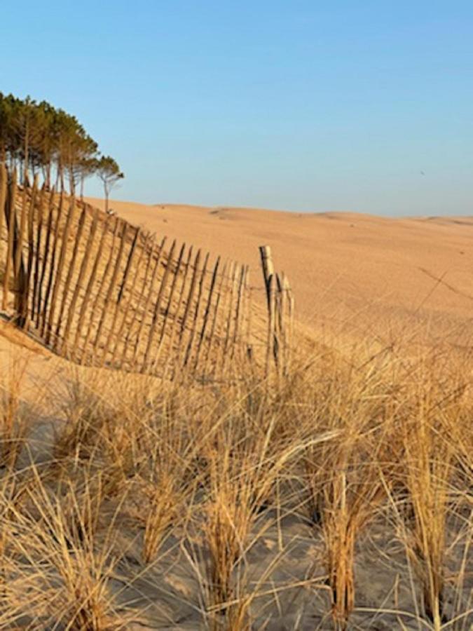 Au Coeur Du Bassin D'Arcachon,Tres Bel Appartement Avec Terrasse Однж Екстер'єр фото