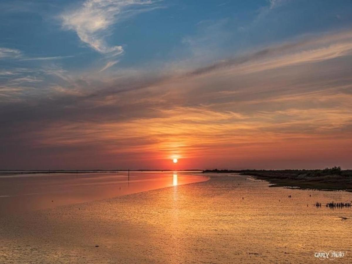 Au Coeur Du Bassin D'Arcachon,Tres Bel Appartement Avec Terrasse Однж Екстер'єр фото