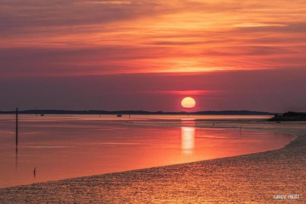Au Coeur Du Bassin D'Arcachon,Tres Bel Appartement Avec Terrasse Однж Екстер'єр фото