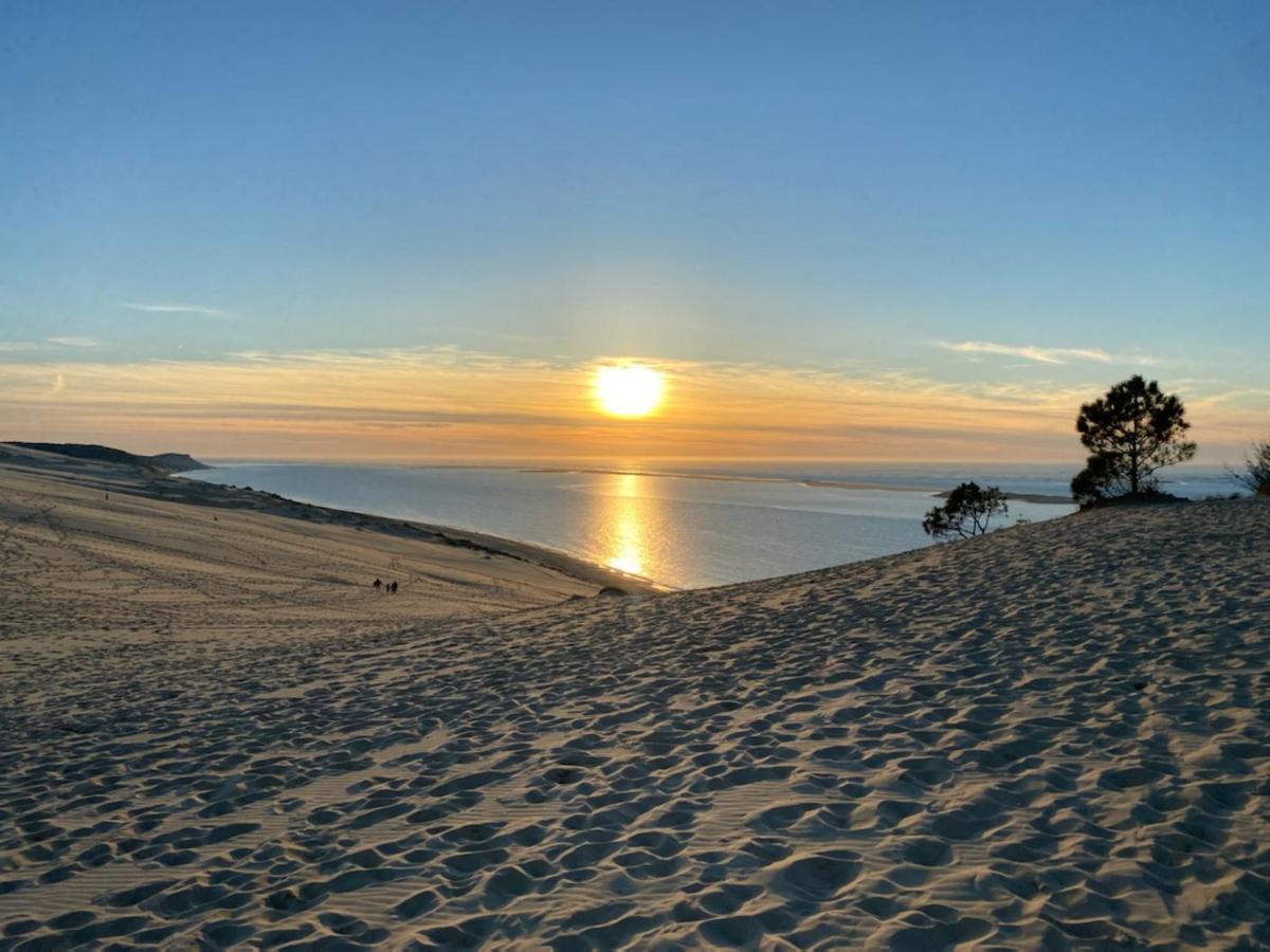 Au Coeur Du Bassin D'Arcachon,Tres Bel Appartement Avec Terrasse Однж Екстер'єр фото